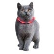 Karlie Flamingo Visio Light LED Hose Collar for Cats, (Red) Fashion