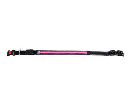 Karlie O LED Collar With USB Loading Cable - Pink - 44 - 48cm Hot on Sale