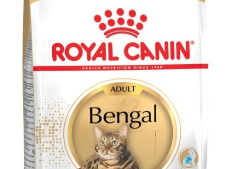 Royal Canin Bengal Adult - 10kg Online now