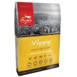 ORIJEN Puppy Dry Food - 6kg For Discount