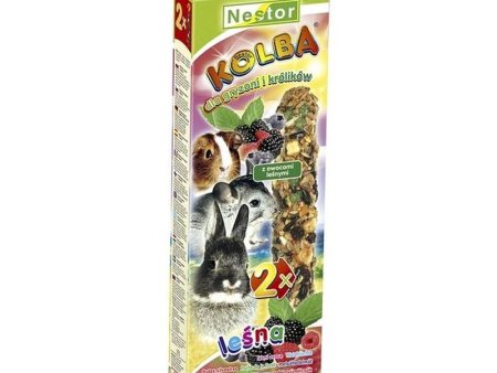 Nestor Sticks For Rodents And Rabbits With Fruits - 115g Online