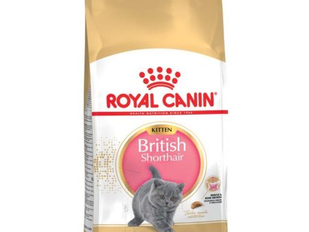 Royal Canin British Shorthair Kitten - 2kg Online Sale