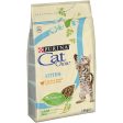 Purina Cat Chow Kitten Chicken - 1,5kg For Cheap