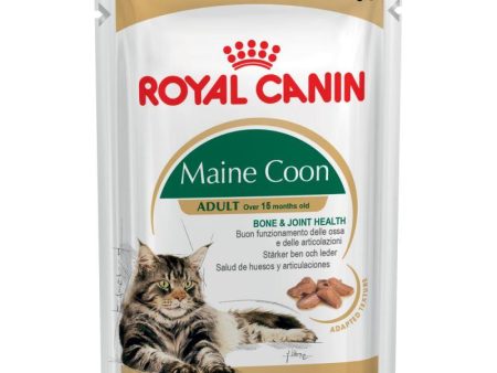 Royal Canin Breed Maine Coon Adult In Gravy- 85g For Sale