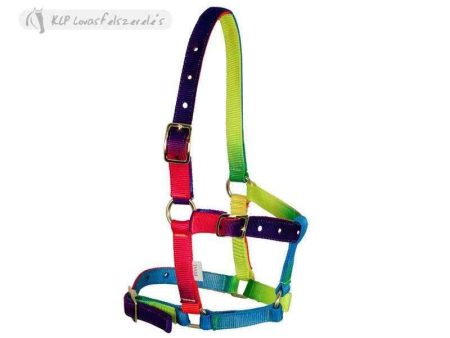 Multicolour Halter For Small Horses For Cheap