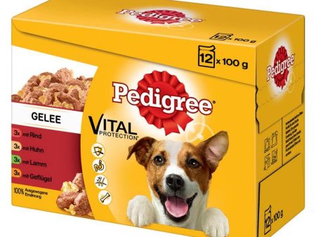 Pedigree Adult Pouch Multipack 12x100g at a glance Online now