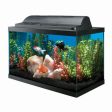 Aqueon Incandescent Aquarium Kit 1 Each 10 by Aqueon on Sale