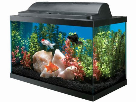 Aqueon Incandescent Aquarium Kit 1 Each 10 by Aqueon on Sale