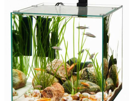 Aqueon Frameless Cube Aquarium 1 Each 14 by Aqueon Sale