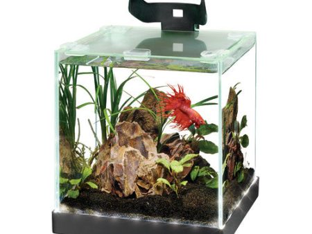 Aqueon Edgelit Rimless Cube Glass Aquariums 1 Each Size 1 by Aqueon For Sale