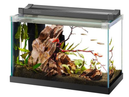 Aqueon Rimless Rectangle Aquarium 1 Each 2.5 by Aqueon Fashion