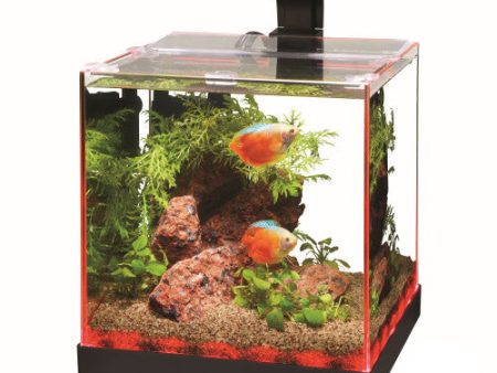 Aqueon Edgelit Rimless Cube Glass Aquariums 1 Each Size 3 by Aqueon For Sale