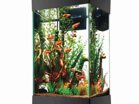 Aqueon Aquarium Starter Kit with LED Lighting 1 Each 15 Column, Wrapped by Aqueon Fashion