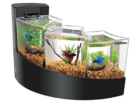 Aqueon Betta Falls Kit Black, 1 Each One Size by Aqueon For Cheap